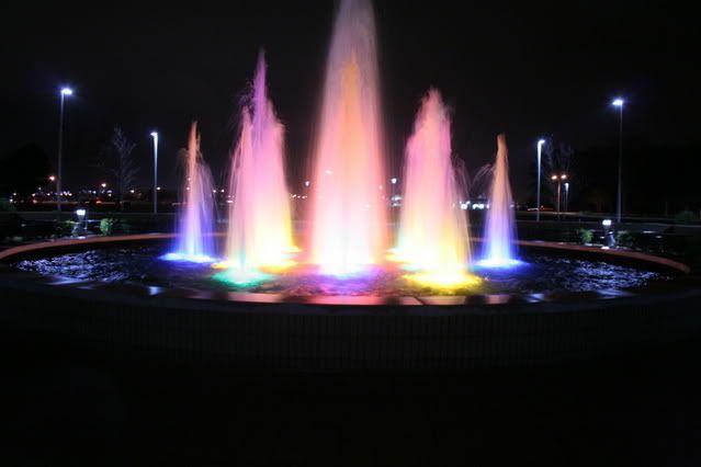 IMG_8686.jpg