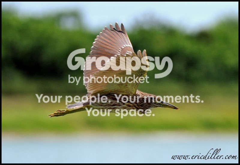 PIC_8463copycopy.jpg