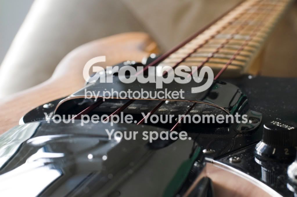 Fender7904.jpg