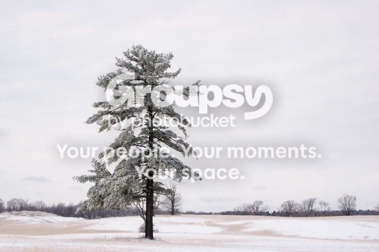snowscape2.jpg