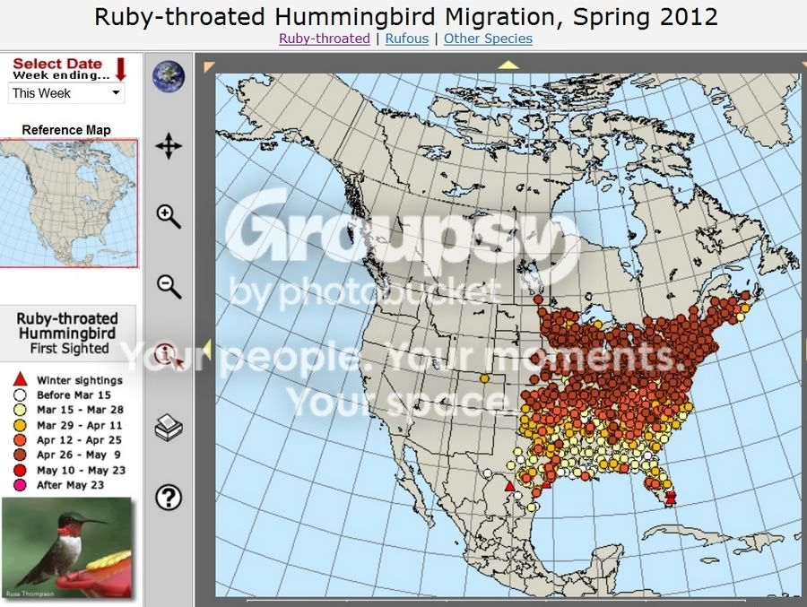 Hummingbirdmap.jpg