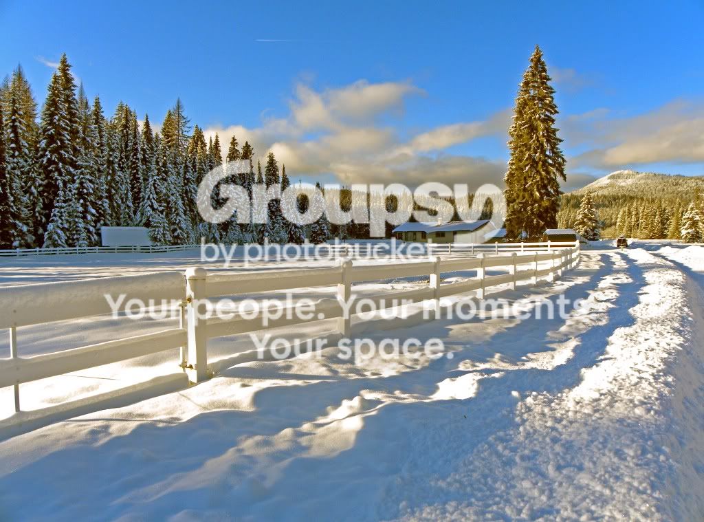 snow-1.jpg