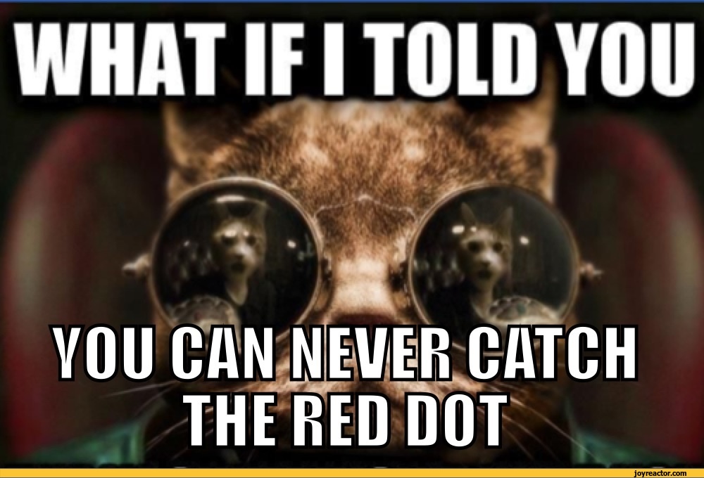 red-dot-business-cat-sandbox-574475.jpeg