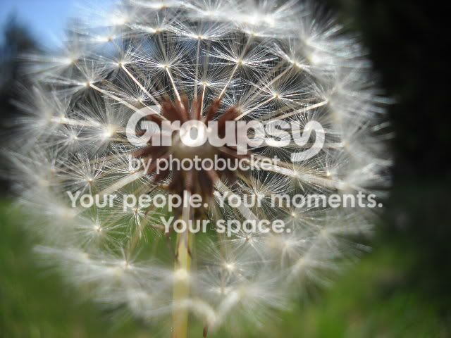 DSCN3443.jpg
