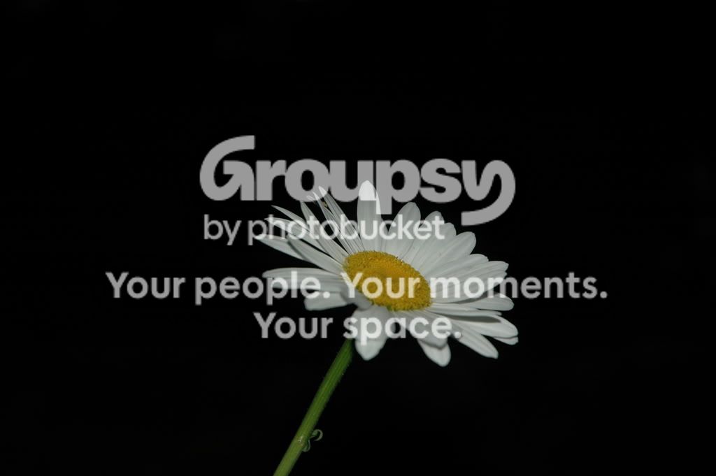 parknight002.jpg