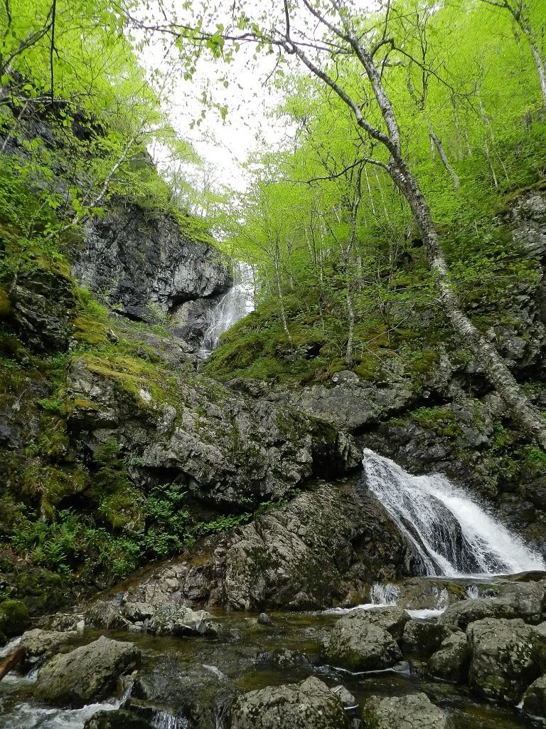 DSCN1352.jpg
