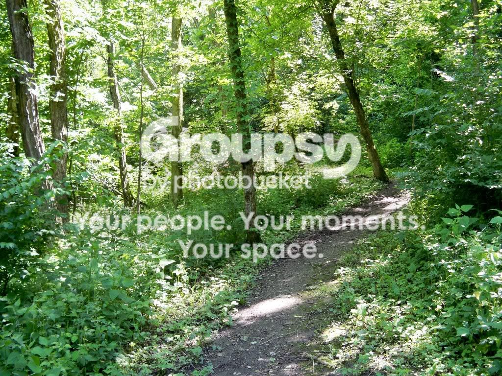 path.jpg