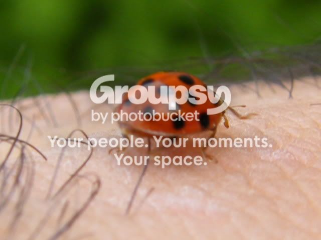 DSCF0876.jpg
