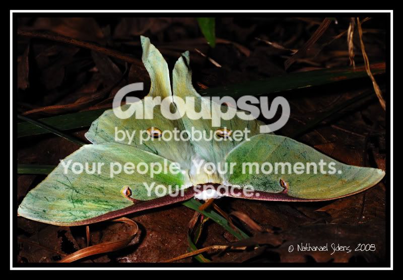 2008-08-19_13web.jpg