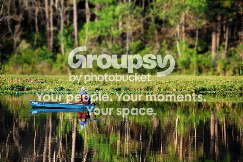 DSC_0007blur.jpg
