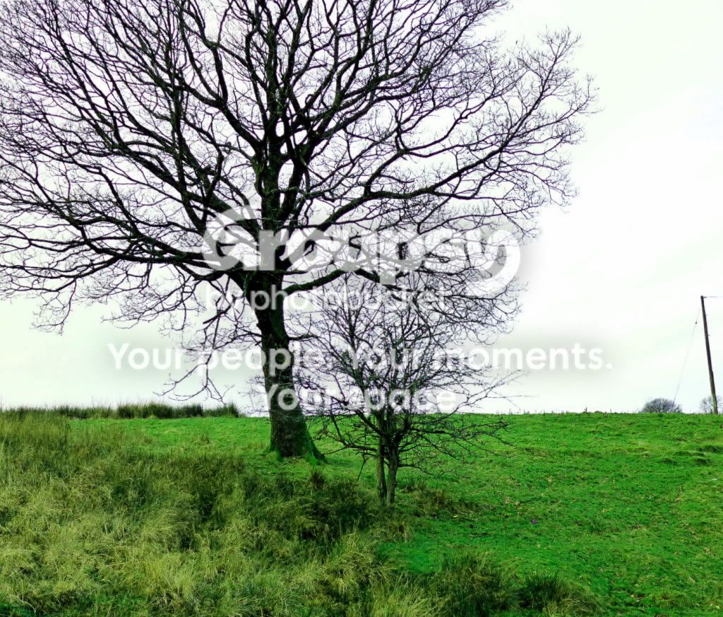 P1000283edit.jpg