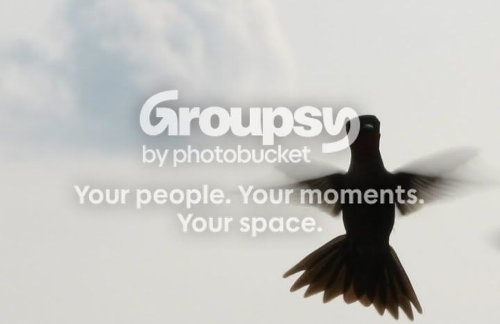 bird2.jpg