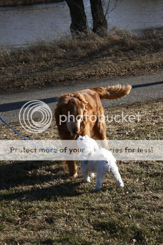 IMG_1683c.jpg