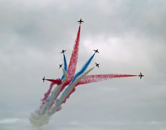 _9030081_edited-1.jpg