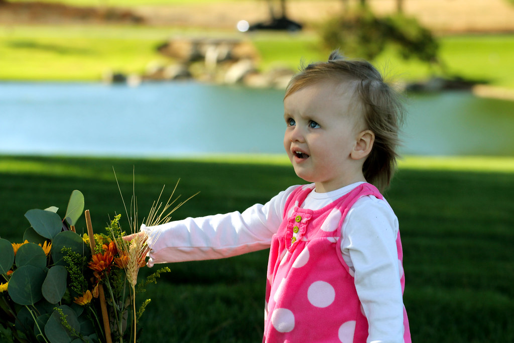 5168799786_a96d0d12f5_b.jpg