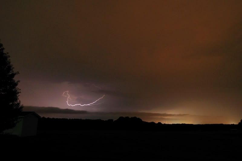 _D306837.jpg