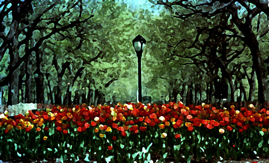 Image10ps.jpg