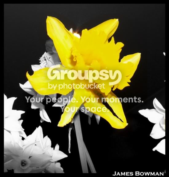 Yellow.jpg