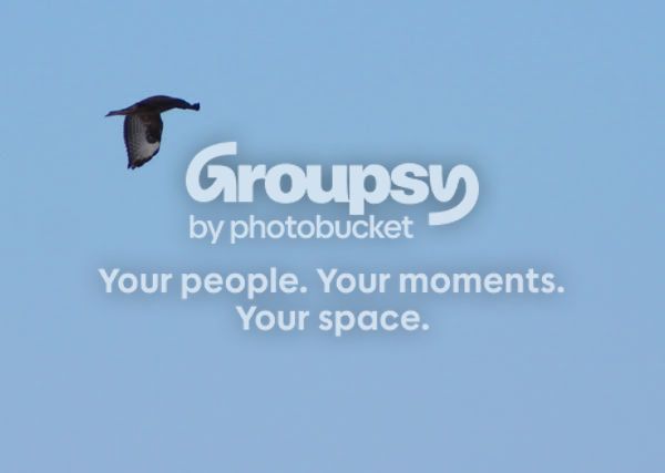 Bussard03.jpg