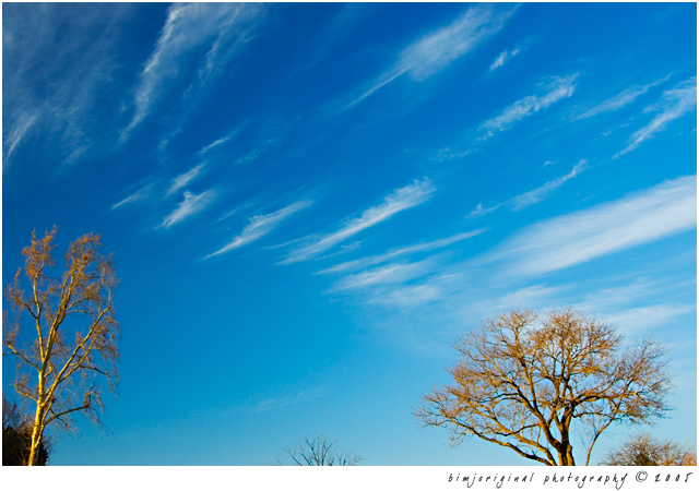 wispy02.jpg