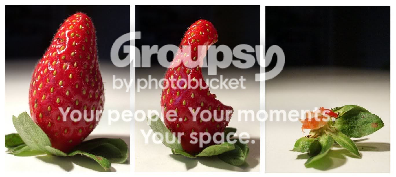 berries.jpg