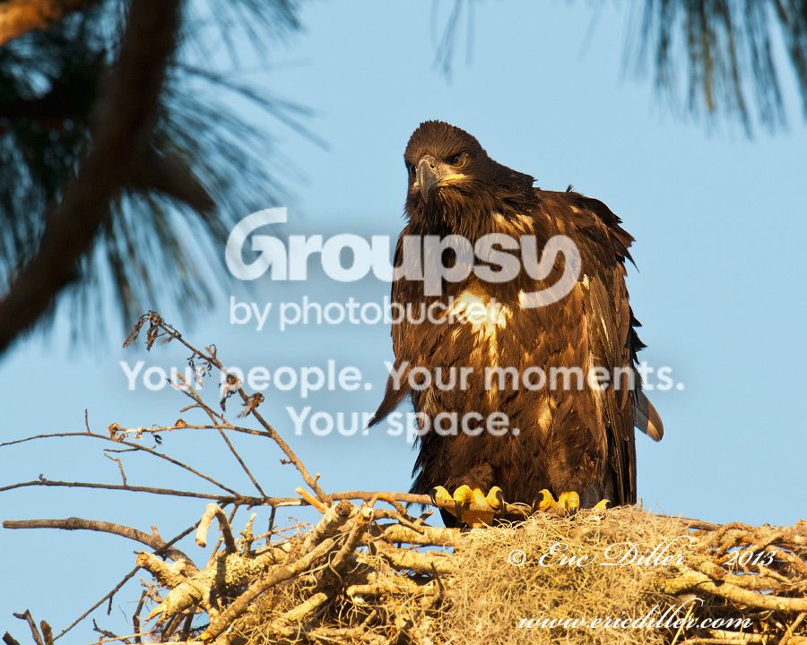 _EEE6911-copy900_zps2ca80a5b.jpg