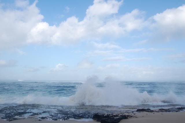 Oahu1-31-10027.jpg