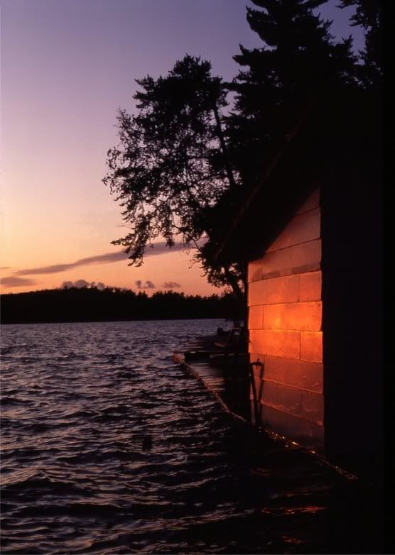 img363-1.jpg