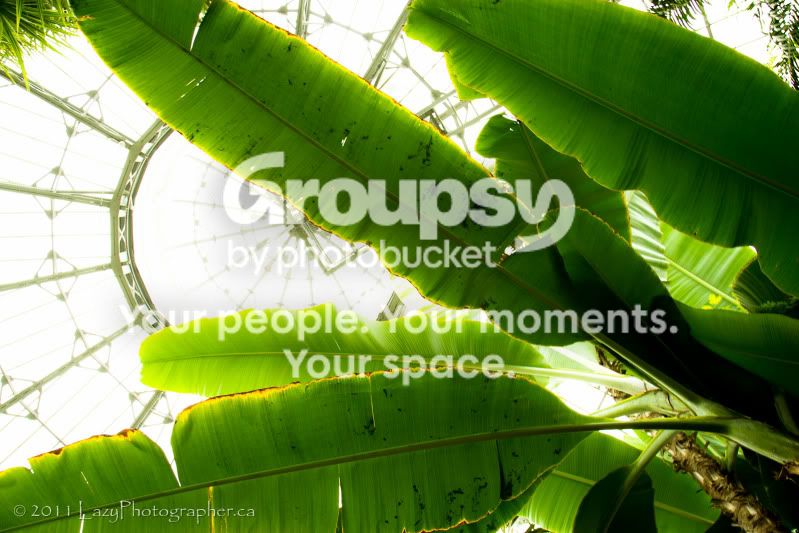 Greenhouse-20-EDITED.jpg
