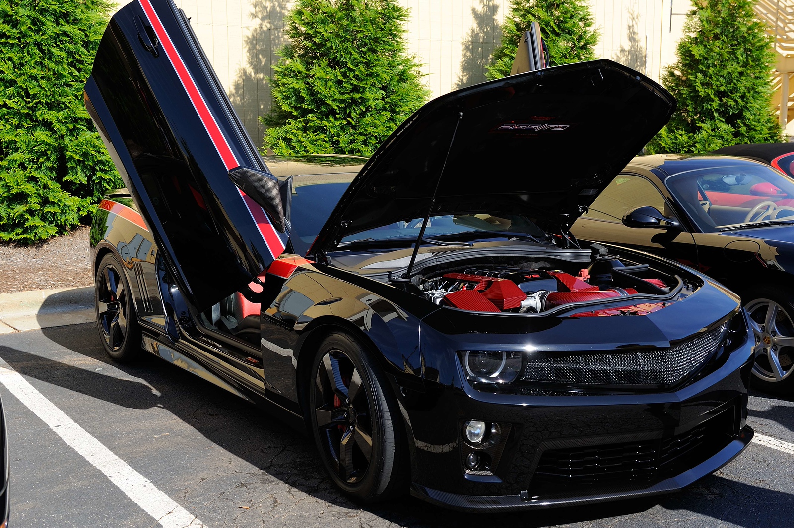 DSC_00237-X3.jpg