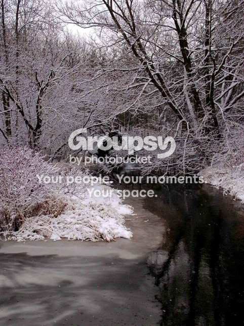 winter-scene.jpg