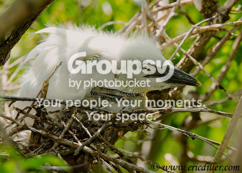 _ECD2257-copy800.jpg