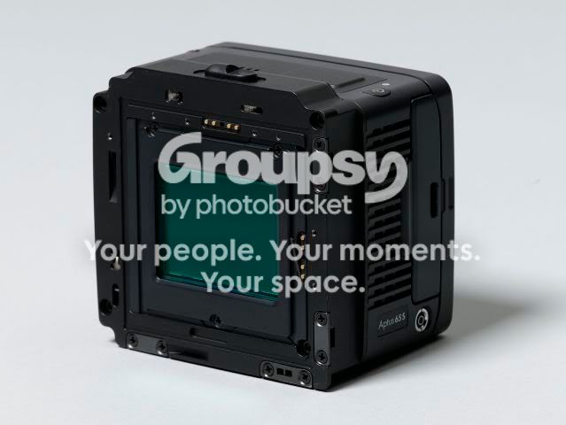8803BVZ_001417.jpg