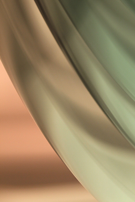 8095475581_e4910362cd_b.jpg