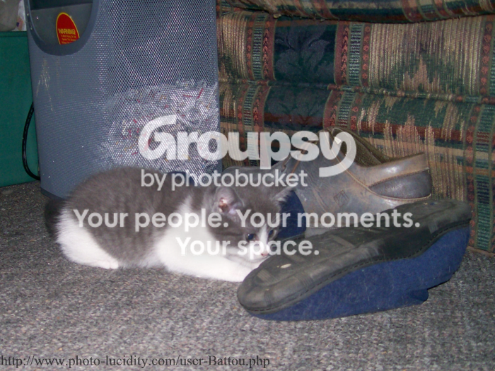 evilslipper700.png