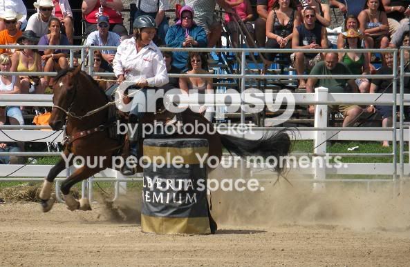 barrelhorse2web.jpg