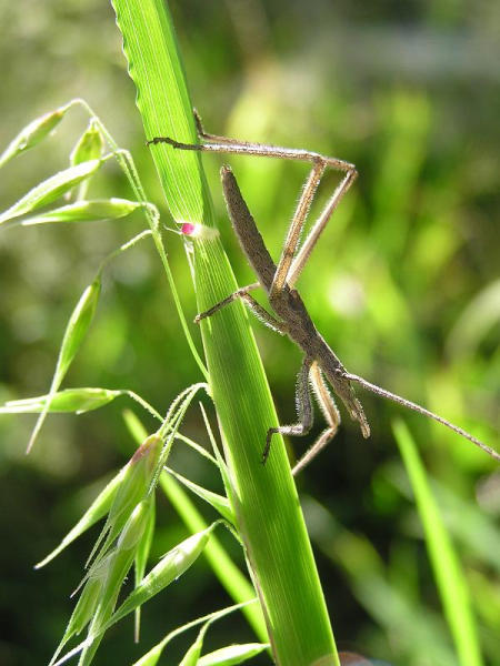 43149smallP1010018-med.JPG