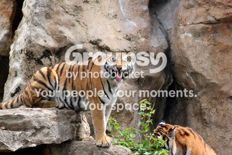 IMG_1293copy.jpg