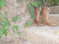 5982290185_62faea358d_m.jpg