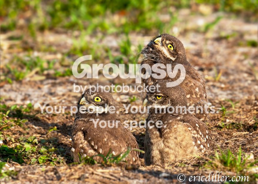 _ECD6270-copy860.jpg