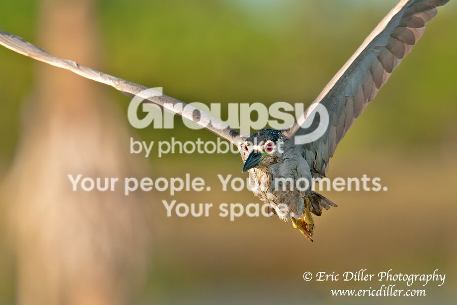 _ECD9901-copy900.jpg