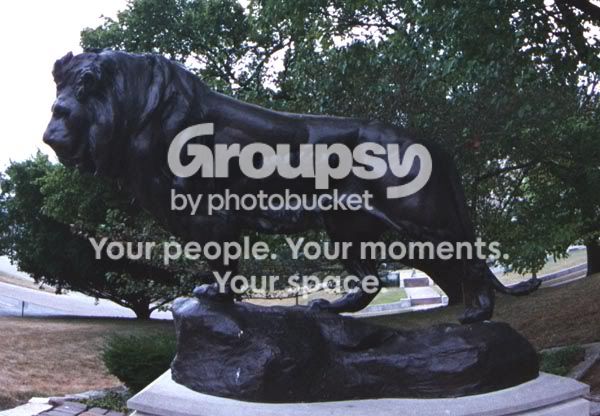 ProudLion.jpg