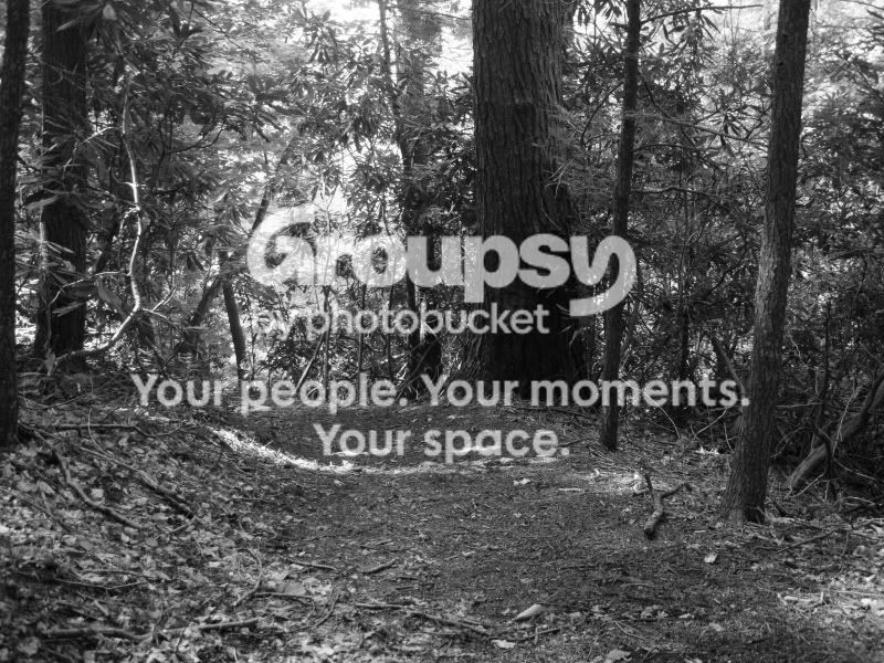 Pics015.jpg