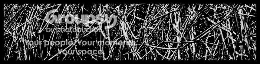 maze-panoramic.jpg