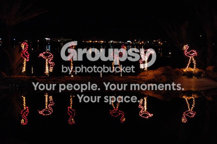 FestivalofLights029.jpg