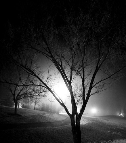 61161801_3df92f60b9.jpg