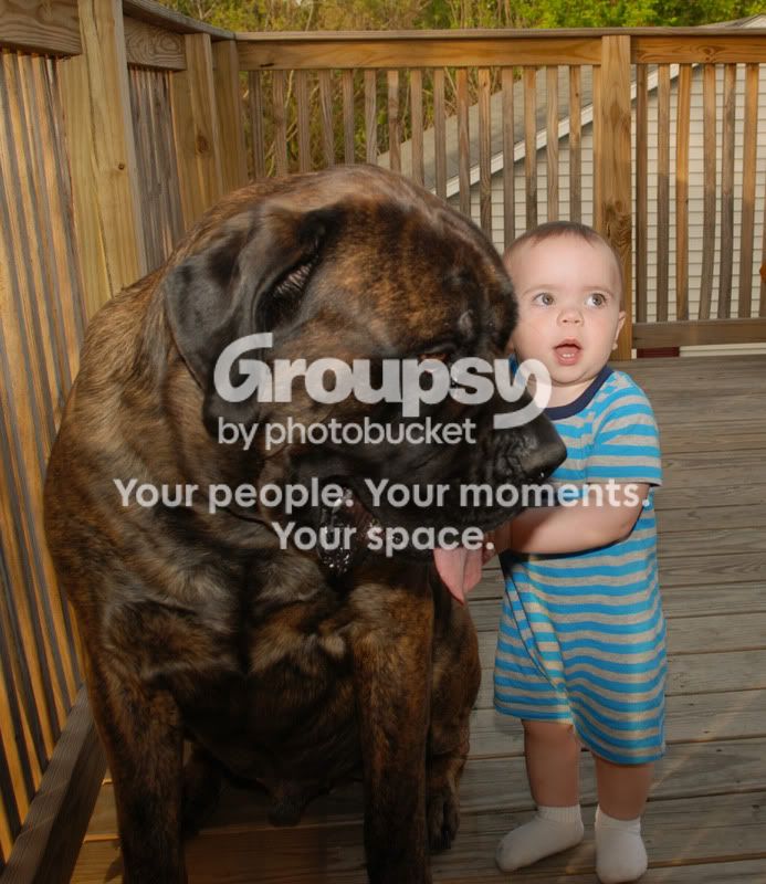 DSC_1027_edited-1.jpg