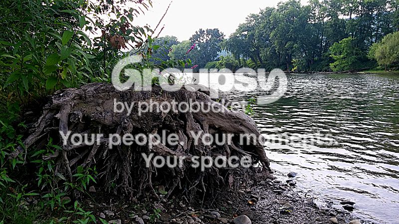20180815_175535.jpg