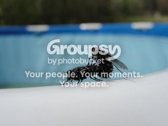 jayjayphotos004.jpg
