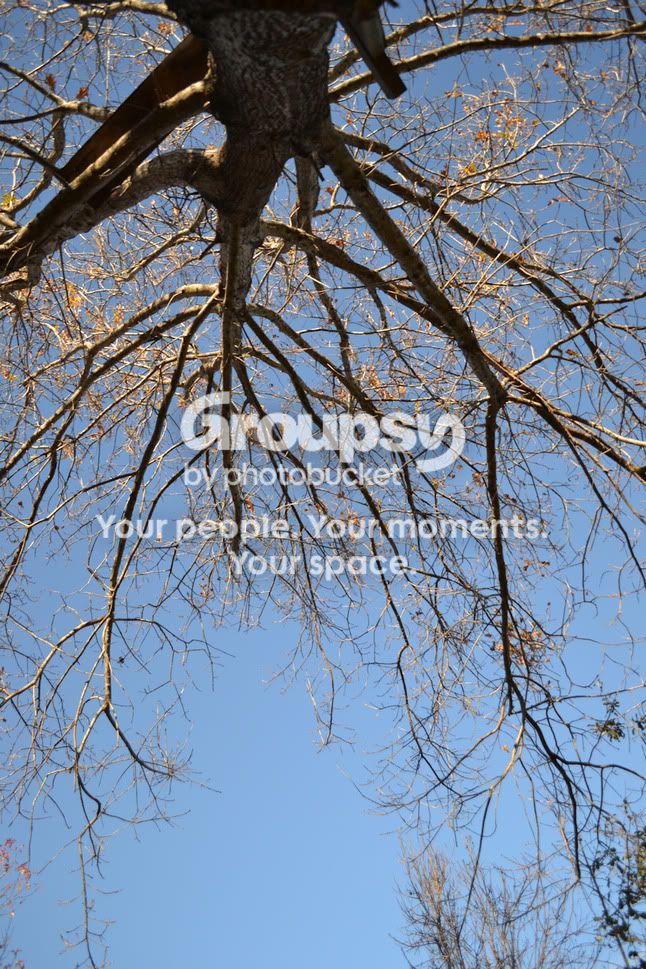 upsidedown.jpg